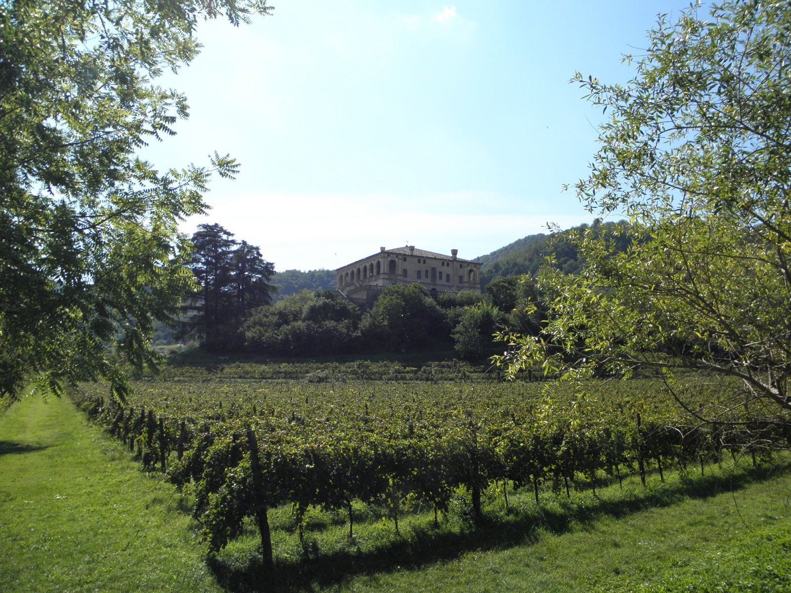 Villa dei Vescovi与Colli Euganei葡萄园