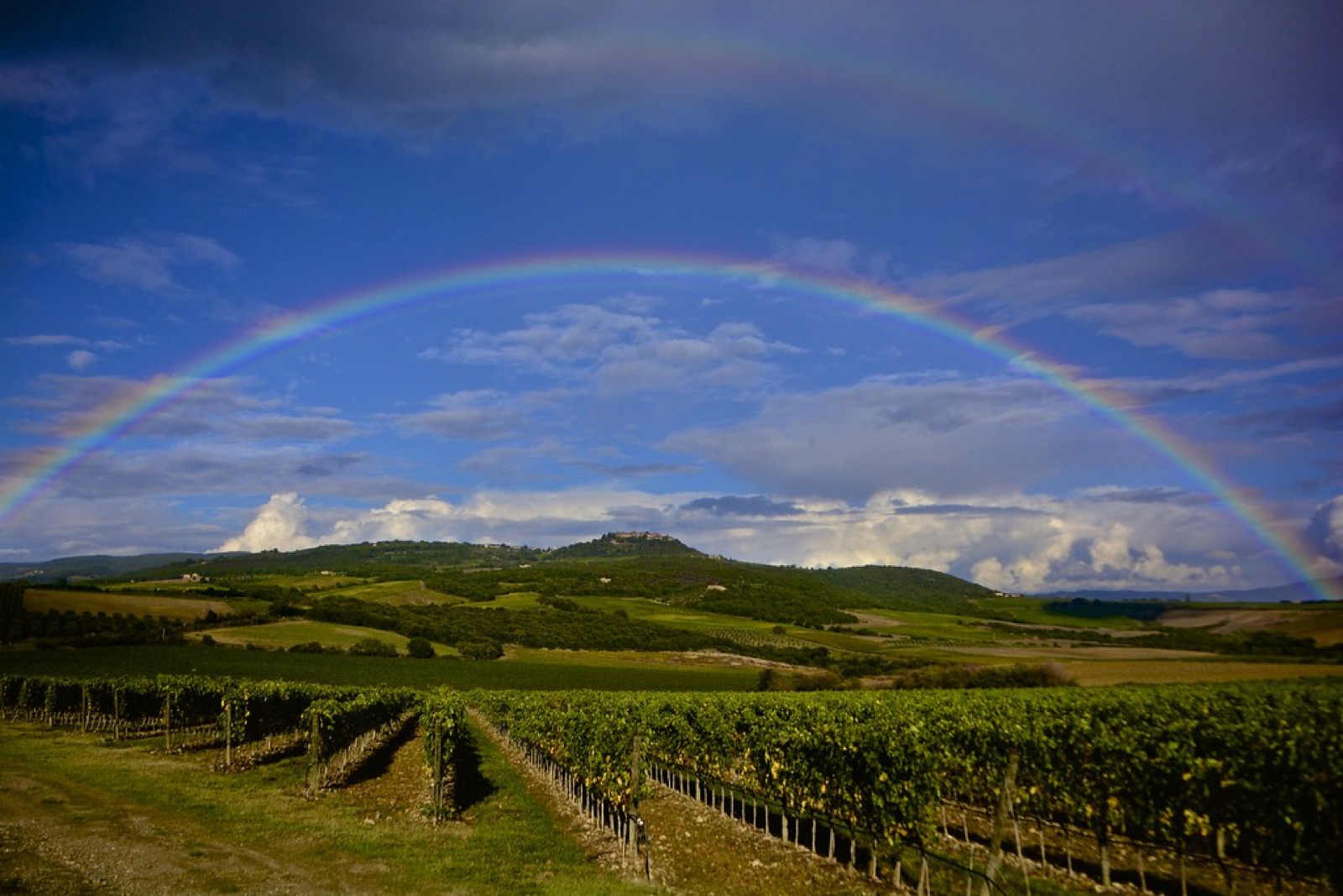 Montalcino 葡萄园与彩虹
